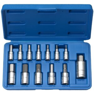 13PC HEX BIT SOCKET SET SAE