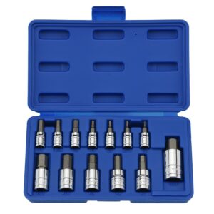 13PC HEX BIT SOCKET SET METRIC